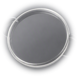 Datacom Photonic Devices